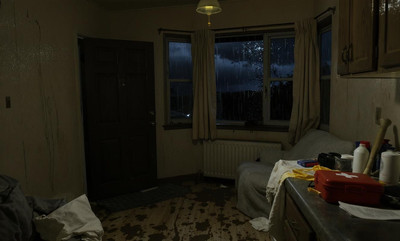 Something Followed Us Home